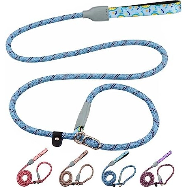 DDSColour Slip Lead Dog Leash - Anti Pull Training Leash for Large Dogs, Small Dogs, and Medium Dogs - 6ft/4ft Lengths, Heavy Duty & Slip Leash with Stoppers, Collar for Training and Easy Control