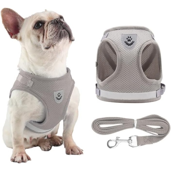 Dog Harness for Small Breed,Puppy Vest Harness Pet Chest Strap, Small Dog Harness and Leash Set, No Choke Breathable Step-in Air Dog Harness for Small