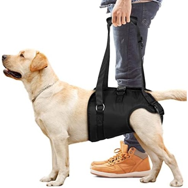 Dog Lift Harness Dog Sling for Large Dogs Hind Leg, Dog Support Harness for Rear Legs Help Rehabilitate The Hind Limbs of Elderly Dogs with Weak Hind Legs Disabilities and Injuries Dog Support Harness