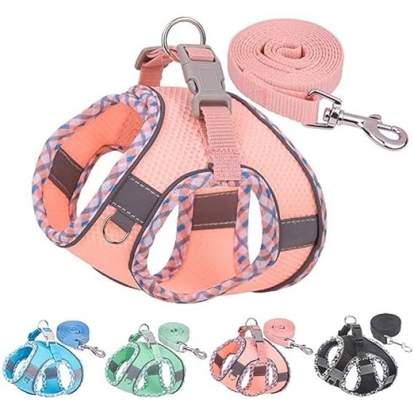 HPETHF Dog Harness for Small Dogs Leashes Set,Soft No Pull Adjustable Breathable Mesh Leash and Harness Vest Belt for Puppy,Small,Medium Dogs and Cats(XXS-PK)