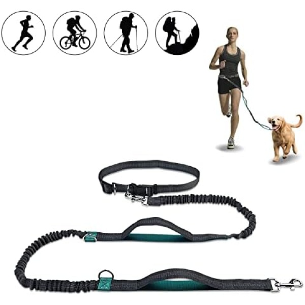 Hands Free Dog Leash, Retractable Dog Leash Running with Dual Bungees for Medium and Large Dogs, Adjustable Waist Belt Reflective Stitching Leash for Running Walking Hiking Jogging Biking (Green)