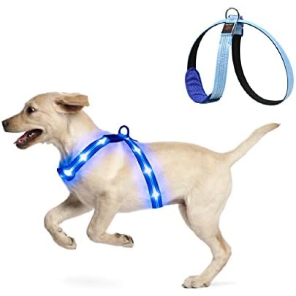 KOSKILL Light Up Dog Harness, Led Dog Harness Rechargeable, Lighted Dog Harness Glow in The Dark, LED Dog Vest Reflective, Light Up Harness for Dogs, Dog Lights for Night Walking (Blue, L)