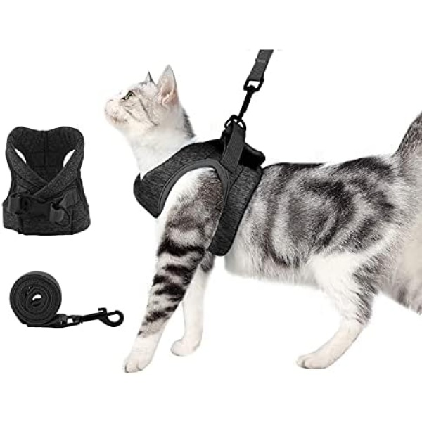 oUUoNNo Cat Harness and Leash Set for Walking Escape Proof, Adjustable Soft Padded Vest with Running Cushioning, Comfortable Outdoor Jacket for Pet Kitten Puppy Rabbit (Grey, M)