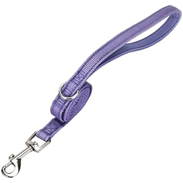 petopet Double-Sided Reflective Dog Leash, 5 FT x 4/5 ", Soft Padded Handle for Small Medium Dogs Cats Kittens Walking Training Pulling, Purple