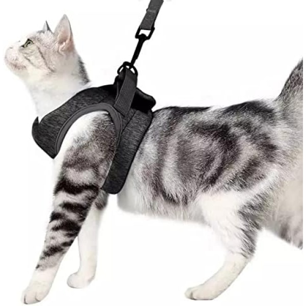 Cat Harness Leash Straps,Soft and Comfortable Escape Proof Walking Jacket with Running Cushioning for Small Medium Cats (M)