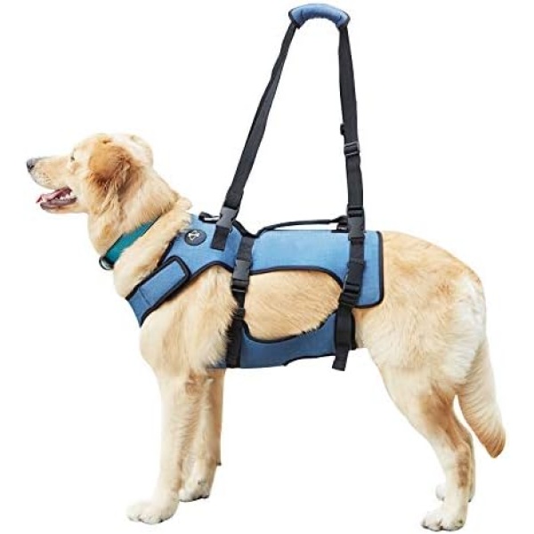 Coodeo Dog Lift Harness, Support & Recovery Sling, Pet Rehabilitation Lifts Vest Adjustable Breathable Straps for Old, Disabled, Joint Injuries, Arthritis, Paralysis Dogs Walk (XLarge)