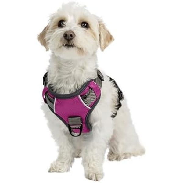 Embark Adventure Dog Harness No-Pull Dog Harness for Small Dogs, Medium & Large. 2 Leash Clips, Front & Back with Control Handle, Adjustable Pink Dog Vest for Any Breed, Soft & Padded for Comfort