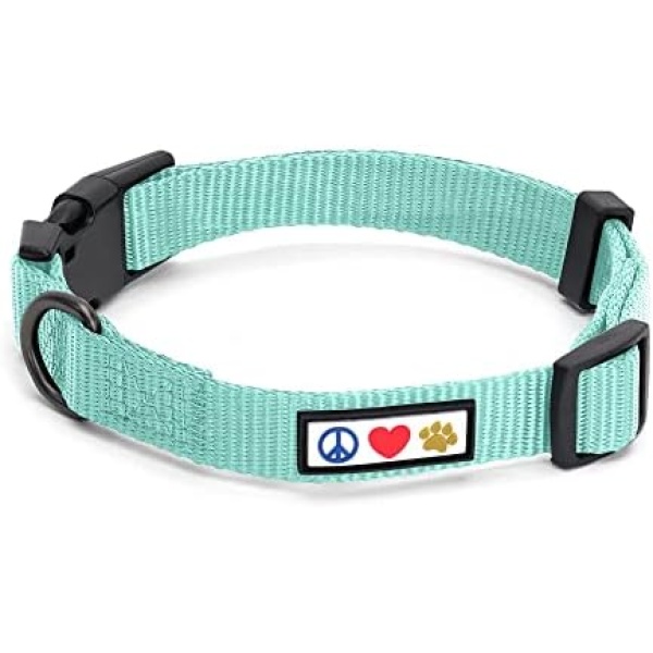 Pawtitas Dog Collar for Small Dogs Training Puppy Collar Small with Solid - S - Teal | Collier Pour chiens de très Petite Taille un Collier Pour chiots.