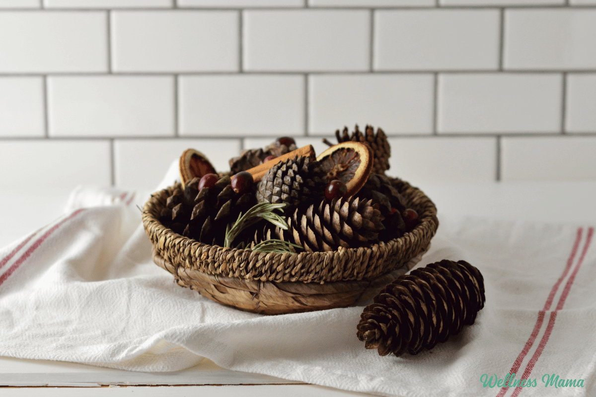 Tantalizing DIY Cinnamon Pine Cones