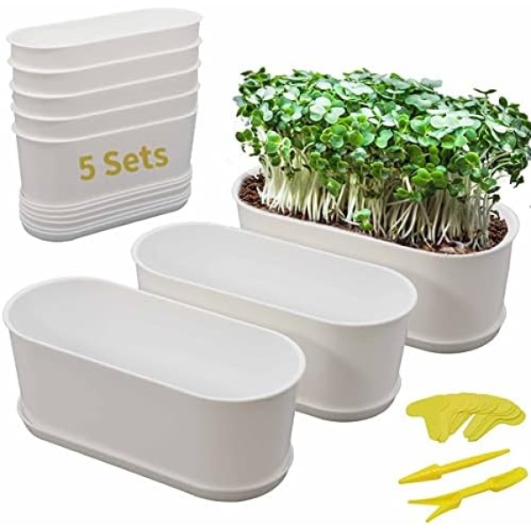 Window Box with Saucers 5 Sets Plastic Planters with Multiple Drainage Holes and Trays Flower Pots for Home Garden Succulents Modern Decorative Window Planter Box Gardening Pot Plant Container