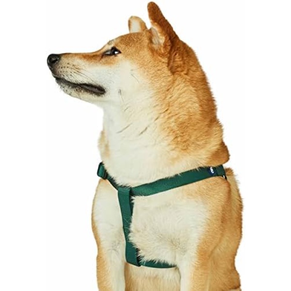 Blueberry Pet Essentials 2022 New Classic Durable Solid Nylon Step-in Dog Harness, Chest Girth 16.5 inch - 21.5 inch , Verdant Green, Small, Adjustable Harnesses for Puppy Boy Girl Dogs(Pack of 1)