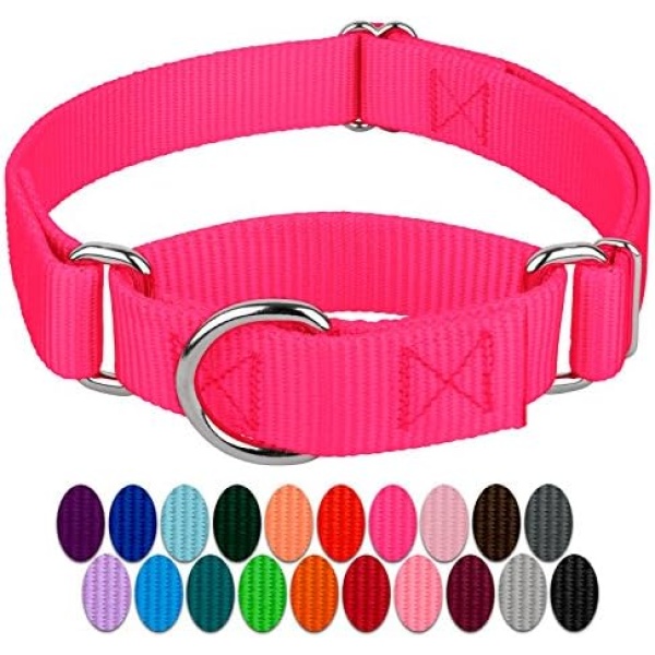 Country Brook Design - Hot Pink Martingale Heavy Duty Nylon Dog Collar - 21 Vibrant Color Options (1 Inch Width, Medium)