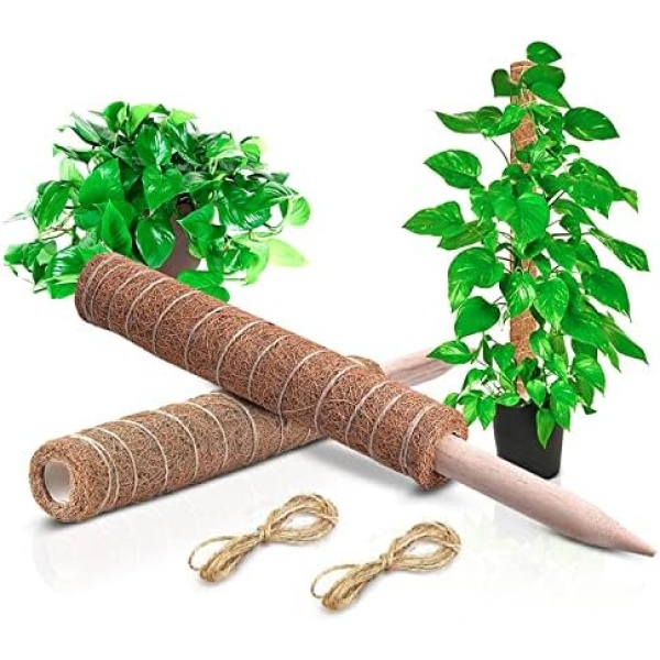 Moss Pole 34 Inches Full Length 2pcs (17" X 2) Moss Poles Plant Support Monstera, Natural Coco Coir Plant Pole for Potted Plants - Coir Moss Pole for Climbing Plants Indoor Outdoor with 2 Twines