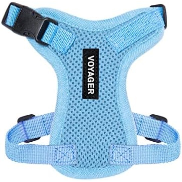 Voyager Step-in Lock Pet Harness - All Weather Mesh, Adjustable Step in Harness for Cats and Dogs by Best Pet Supplies - Baby Blue, XXS