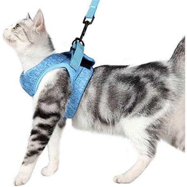 Cat Harness and Leash Set for Walking 360° wrap-Around Small Cat and Dog Harness Cushioning and Anti-Escape Suitable for Puppies Rabbits with Cationic Fabric (Blue, M)