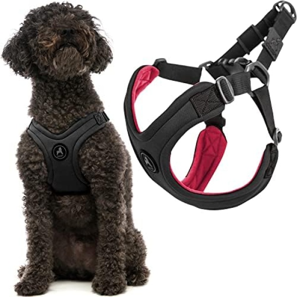 Gooby Escape Free Sport Harness - Black, Large - No Choke Step-in Patented Neoprene Small Dog Harness with Four-Point Adjustment - Perfect on The Go Dog Harness for Medium Dogs No Pull and Small Dogs