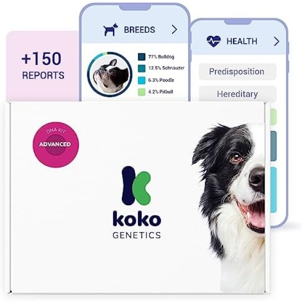 Koko DNA Test for Dogs Advanced - (+150 Reports of Breeds, Health and Traits) - Updates at no Cost