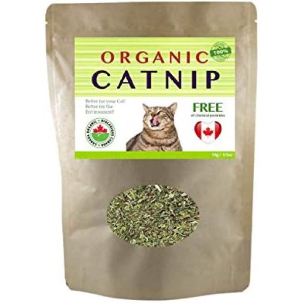 Catnip Organic Premium Blend | Fresh and Dried, Safe for Cats | Natural Cat Treat Better for The Environment Better for Your Cat | Buddy Bits Made in Canada (Medium Size Bag)