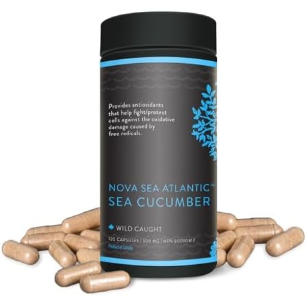 Nova Sea Atlantic Wild Sea Cucumber Supplement Capsules Antioxidant Anti-inflammatory Healthy Energy Supplement with Fucosylated Chondroitin Sulfate Collagen Glycosides Vitamins Minerals