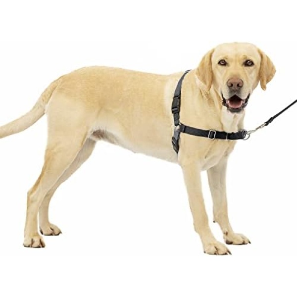 PetSafe Easy Walk No-Pull Dog Harness - The Ultimate Harness to Help Stop Pulling - Take Control & Teach Better Leash Manners - Helps Prevent Pets Pulling on Walks - Large, Charcoal/Black