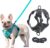 2 Pieces Dog Harness and Leash Set, No Pull Reflective Dog Vest Harness, Adjustable Cat Harness Escape Proof, Small Medium Large Pet Puppy (Gray & Blue, XL)