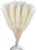 30 Pcs White Pampas Grass,17 inch/45 cm Natural Dried Pampas Grass Branches Decor for Home Kitchen Garden Party Photographing Flower Arrangement Vase Decor