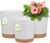 6.5 and 8 Inch Plant Pot, 4 Pcs Self Watering Plastic Planter with Saucers Trays and Drainage Hole, Modern Decorative Flower Pot Plant Container for Indoor Outdoor Home Garden Plant, White