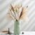 89Pcs Dried Pampas Grass Decor, 15Pcs White Pampas Grass, 15Pcs Brown Pampas, 30Pcs Reed Grass, 15Pcs Bunny Tails, Fluffy Stem Bouquet for Flower Arrangements Boho Wedding Home Decor (17in)