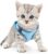 AMIR Cat Harness for Walking, Cat Harness and Leash Escape Proof, Adjustable Vest Harness for Small Medium Cats, Breathable Reflective Strips Harness- Blue, XXS