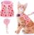 BINGPET Cat Harness with Leash Escape Proof – Fashionable Mesh Cat Dog Walking Harness Leads, Adjustable for Kitties Puppies Small Animals