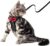 BLUWTE Cat Harness and Leash Set for Escape Proof,Breathable Dog Harness,Pet Harness,Adjustable Mesh Vest Harness for Puppy Cats Rabbit (Black, M)