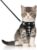 BLUWTE Cat Walking Harness Jacket,Breathable Soft Kittens Vest for Cats Dogs , Escape Proof with Bell and Bow-Knot Decoration Christmas (XXS, Black-White)