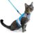 CAT SCHOOL Cat Harness and Leash Set for Walks & Travel – Secure Cat Vest Harness with 10’ Long Leash with Easy Instructions