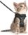 CatRomance Cat Harness and Leash Escape Proof, Adjustable Cat Harness for Extra Small Cat, Breathable Soft Kitten Harness with Reflective Strips, Easy Control Cat Harness, Black,Small(Chest 9.0-12.0″)