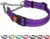 CollarDirect Reflective Dog Collar Martingale Collars Side Release Buckle Chain Training Adjustable Pet Collars (L, Neck Size 17″-22″, Purple)