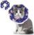 ComSaf Small Soft Cat Recovery Collar, Protective Adjustable Pet Cone Collar for After Surgery, Comfortable Lightweight Elizabethan Collar for Cat Kitten Prevent from Licking Wounds, Not Block Vision