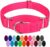 Country Brook Design – Hot Pink Martingale Heavy Duty Nylon Dog Collar – 21 Vibrant Color Options (1 Inch Width, Medium)