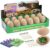 Dinosaur Eggs Excavation Dig Kit – Dinosaur Toys for Kids – Break Open 12 Dinosaur Eggs and Discover 12 Cute Dinosaurs – Archaeology Preschool Science STEM Crafts Birthday Gifts for Boys Girls