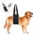 Dog Lift Support and Rehab Harness for Weak Rear Legs, Soft Sling Assist The Dog Who are Senior, Injured, Disabled and After ACL Surgery (Female)