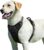 Eagloo Dog Harness No Pull, Walking Pet Harness with 2 Metal Rings and Handle Adjustable Reflective Breathable Oxford Soft Vest Easy Control Front Clip Harness for Small Medium Large Dogs, Black, L