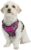 Embark Adventure Dog Harness No-Pull Dog Harness for Small Dogs, Medium & Large. 2 Leash Clips, Front & Back with Control Handle, Adjustable Pink Dog Vest for Any Breed, Soft & Padded for Comfort