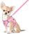 FEimaX Dog Harness and Leash Set, No-Pull Breathable Soft Mesh Puppy Vest Harness Reflective Adjustable Pet Harnesses for Small Medium Large Dogs and Cats – Outdoor Easy Control for Walking