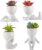 Fake Succulents Plants Decor, 4 Pcs Cute Artificial Succulent in Pot Assorted Life-Like Mini Artificial Greenery Fake Plants for Desk, Office, Living Room, Bathroom, Bedroom, Home Decor (White-4 Pots)