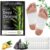 Foot Pads (20 PCS) Deep Cleansing Foot Pads 100% Natural Ingredients, Natural Bamboo Vinegar and Ginger Powder Foot Pad,Relieves Stress and Fatigue,improve deep sleep