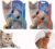 Gizhome 2 Pack Cat Harness and Leash Adjustable Halter Harness Nylon Strap Belt Safety Rope Leads for Kitten, Orange & Light Blue