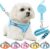 HPETHF Dog Harness for Small Dogs Leashes Set,Soft No Pull Adjustable Breathable Mesh Leash and Harness Vest Belt for Puppy,Small,Medium Dogs and Cats.（BE-M）