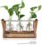 Hbnlai Plant Propagation Station, Gifts for Women, Home Office Garden Decor Planter (3 Bulb Vase)