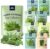 Herb Garden Seeds for Planting Canada | Indoor Herb Garden Starter Kit | Variety Pack for Planting Indoor or Outdoor | Organic, Non GMO Seeds | Grow Basil, Cilantro, Mint and More