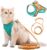 IDOLPET Cat Harness and Leash Set for Walking Escape Proof, Adjustable Kittens Vest with Reflective Strip for Cats Small Dogs Puppies, Soft and Comfortable Cat Outdoor Vest Jacket Green (M, Green)