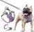 JdotMIN Harness for Dogs and Cats, No Pull Dog Harness Small Medium, Adjustable Reflective Pet Puppy Step in Harnesses Vest, Easy Walk Soft Breathable Padded Dog Leash Set (Purple, M)